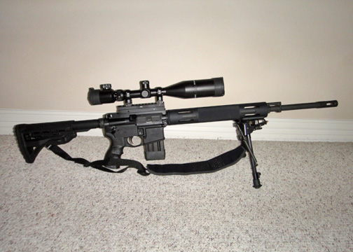 450 with new lower receiver small.jpg